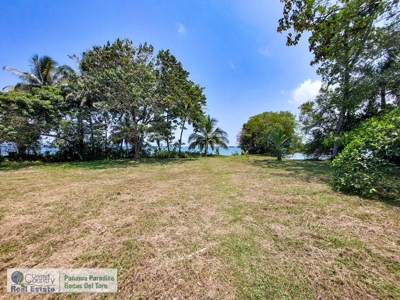 Oceanfront Lot for Sale in Best Location of Panama - image 7