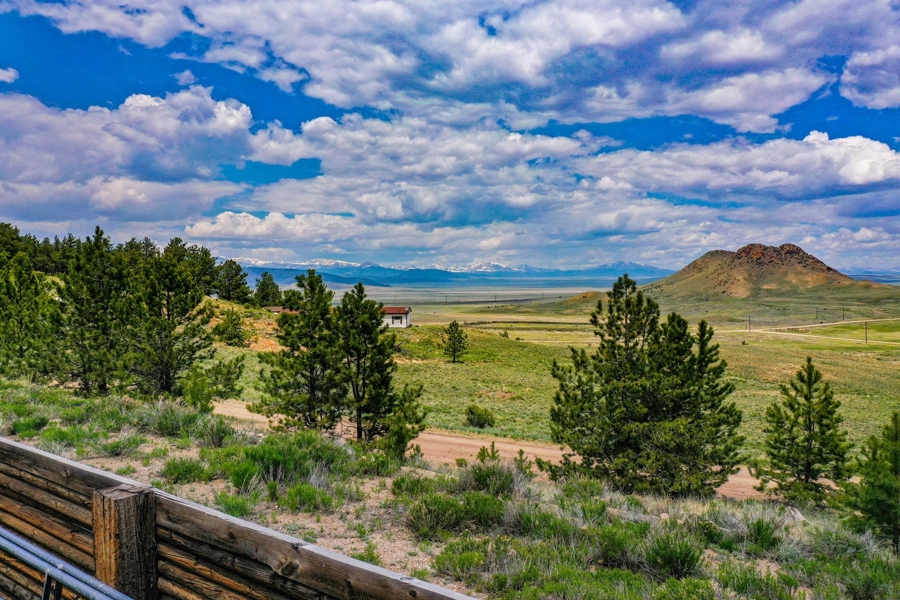 View From Back Yard
