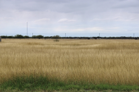 ANAQUA ESTATES LOT For Sale in Orange Grove! - image 4