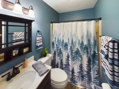 Blowing Rock Nc Condo For Sale Near Skiing, Golf, Hiking - image 19