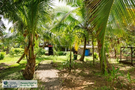 Titled Dolphin Bay Home, Bocas del Toro, Panama - image 36