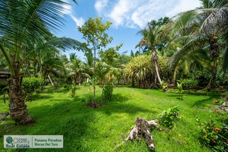 Titled Dolphin Bay Home, Bocas del Toro, Panama - image 15