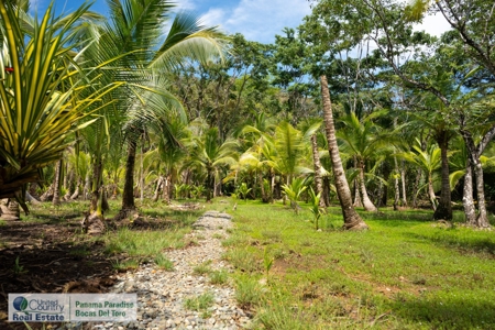 Titled Dolphin Bay Home, Bocas del Toro, Panama - image 35