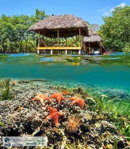 Titled Dolphin Bay Home, Bocas del Toro, Panama - image 3