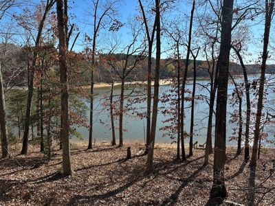 AUCTION Lakefront Home! Kerr Lake Little Bluestone Creek - image 7