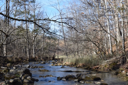 18.22 Acres for Sale with Creek Eidson, TN - image 14