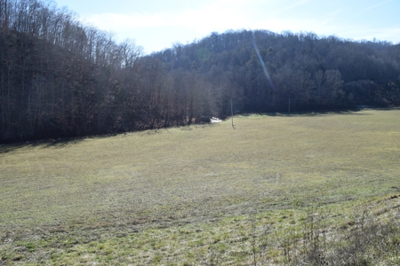 18.22 Acres for Sale with Creek Eidson, TN - image 5