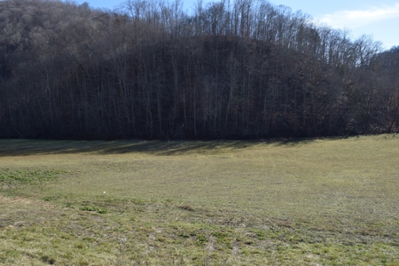 18.22 Acres for Sale with Creek Eidson, TN - image 6