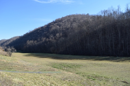 18.22 Acres for Sale with Creek Eidson, TN - image 7