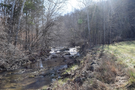 18.22 Acres for Sale with Creek Eidson, TN - image 2