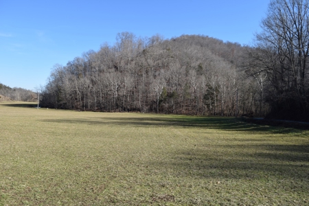 18.22 Acres for Sale with Creek Eidson, TN - image 1