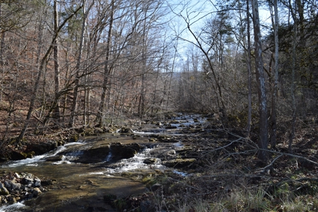 18.22 Acres for Sale with Creek Eidson, TN - image 4