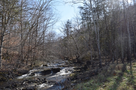 18.22 Acres for Sale with Creek Eidson, TN - image 11