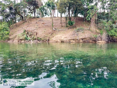 Island for Sale in Punta Pargo, Bocas del Toro - image 18