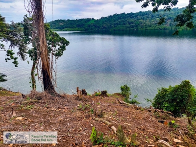 Island for Sale in Punta Pargo, Bocas del Toro - image 4