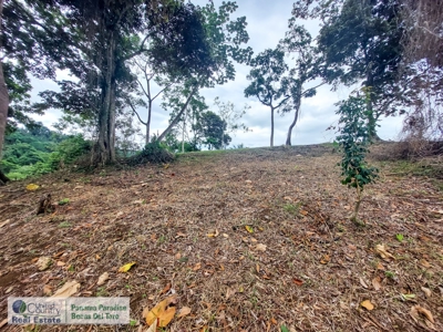 Island for Sale in Punta Pargo, Bocas del Toro - image 5