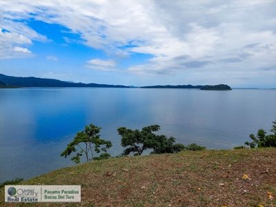Island for Sale in Punta Pargo, Bocas del Toro - image 9