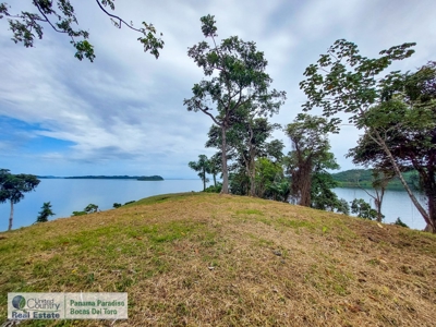 Island for Sale in Punta Pargo, Bocas del Toro - image 11