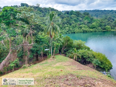 Island for Sale in Punta Pargo, Bocas del Toro - image 14