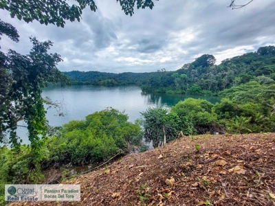 Island for Sale in Punta Pargo, Bocas del Toro - image 3