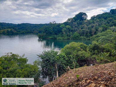 Island for Sale in Punta Pargo, Bocas del Toro - image 2