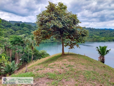 Island for Sale in Punta Pargo, Bocas del Toro - image 12