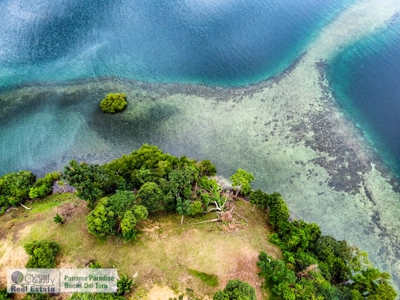 Island for Sale in Punta Pargo, Bocas del Toro - image 25