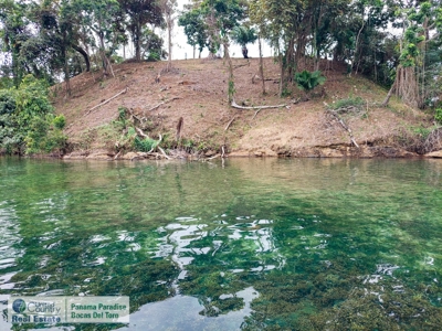 Island for Sale in Punta Pargo, Bocas del Toro - image 20
