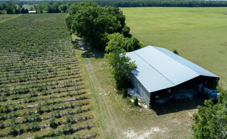 Irrigated Farm Land  FOR SALE IN SUWANNEE COUNTY! - image 24