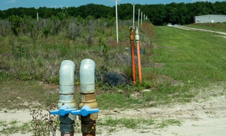 Irrigated Farm Land  FOR SALE IN SUWANNEE COUNTY! - image 36
