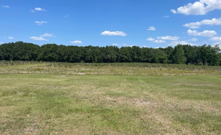 Irrigated Farm Land  FOR SALE IN SUWANNEE COUNTY! - image 27
