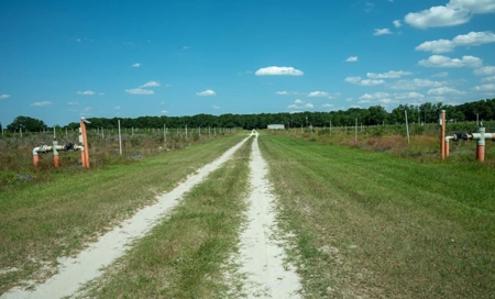 Irrigated Farm Land  FOR SALE IN SUWANNEE COUNTY! - image 35