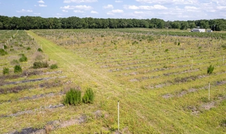 Irrigated Farm Land  FOR SALE IN SUWANNEE COUNTY! - image 47