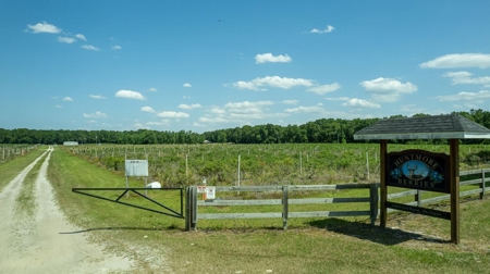Irrigated Farm Land  FOR SALE IN SUWANNEE COUNTY! - image 1