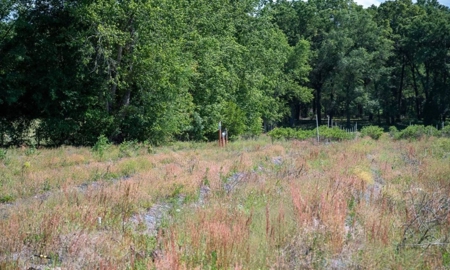 Irrigated Farm Land  FOR SALE IN SUWANNEE COUNTY! - image 39