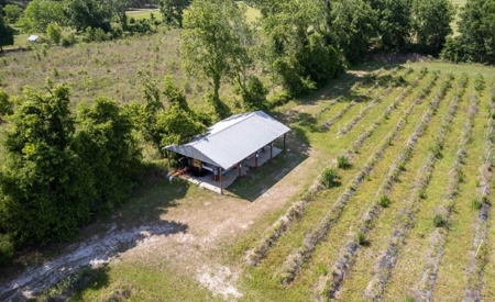Irrigated Farm Land  FOR SALE IN SUWANNEE COUNTY! - image 45