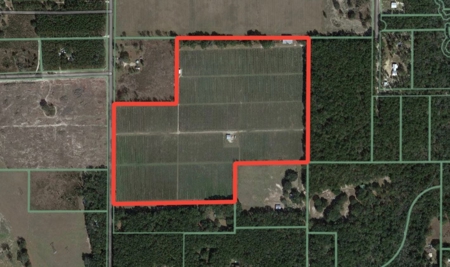 Irrigated Farm Land  FOR SALE IN SUWANNEE COUNTY! - image 49