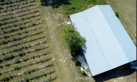 Irrigated Farm Land  FOR SALE IN SUWANNEE COUNTY! - image 25