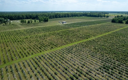 Irrigated Farm Land  FOR SALE IN SUWANNEE COUNTY! - image 4