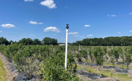 Irrigated Farm Land  FOR SALE IN SUWANNEE COUNTY! - image 33