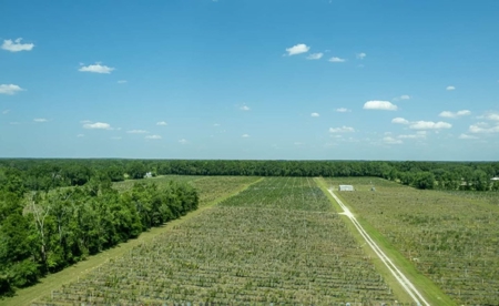 Irrigated Farm Land  FOR SALE IN SUWANNEE COUNTY! - image 41