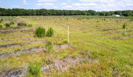 Irrigated Farm Land  FOR SALE IN SUWANNEE COUNTY! - image 46