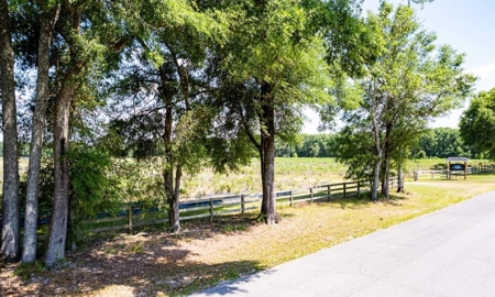 Irrigated Farm Land  FOR SALE IN SUWANNEE COUNTY! - image 48
