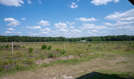 Irrigated Farm Land  FOR SALE IN SUWANNEE COUNTY! - image 40