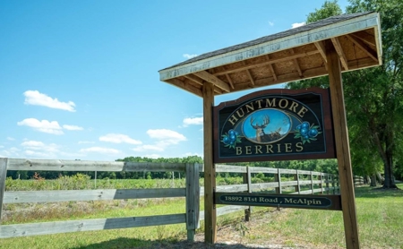 Irrigated Farm Land  FOR SALE IN SUWANNEE COUNTY! - image 50