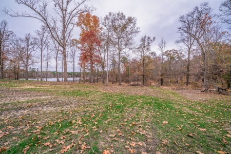 Lakefront House and Acreage at Lake O' the Pines - image 6