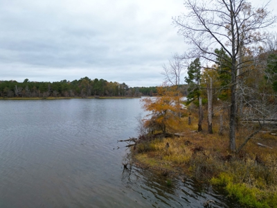 Lakefront House and Acreage at Lake O' the Pines - image 26