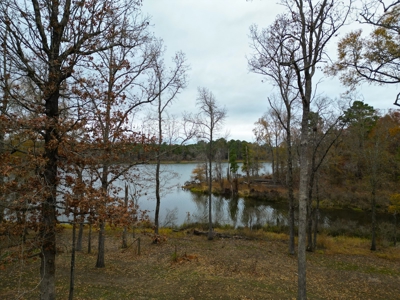 Lakefront House and Acreage at Lake O' the Pines - image 22