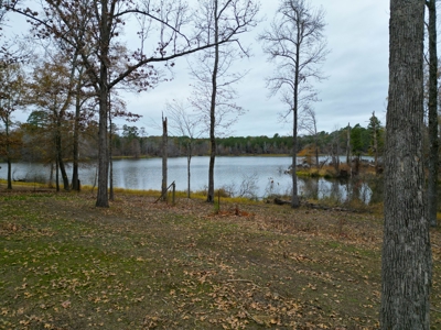 Lakefront House and Acreage at Lake O' the Pines - image 5