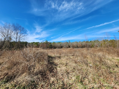 100 Acres – Near National Forest & Poteau River - image 23